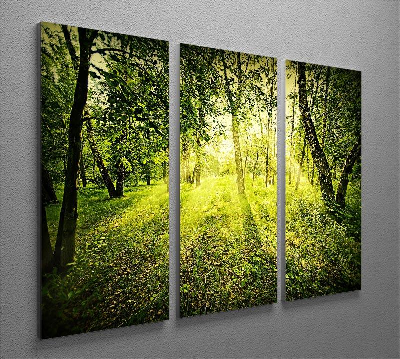 deep forest on summer morning 3 Split Panel Canvas Print - Canvas Art Rocks - 2