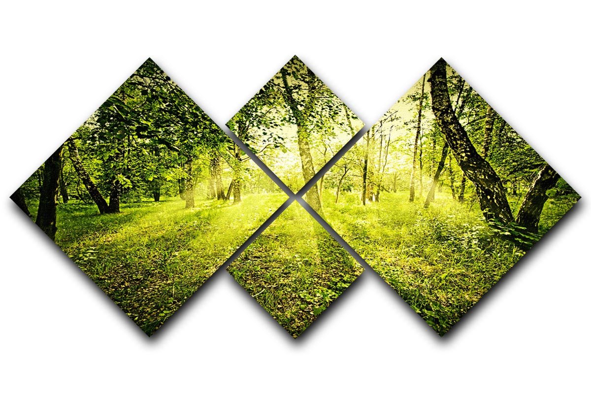 deep forest on summer morning 4 Square Multi Panel Canvas  - Canvas Art Rocks - 1