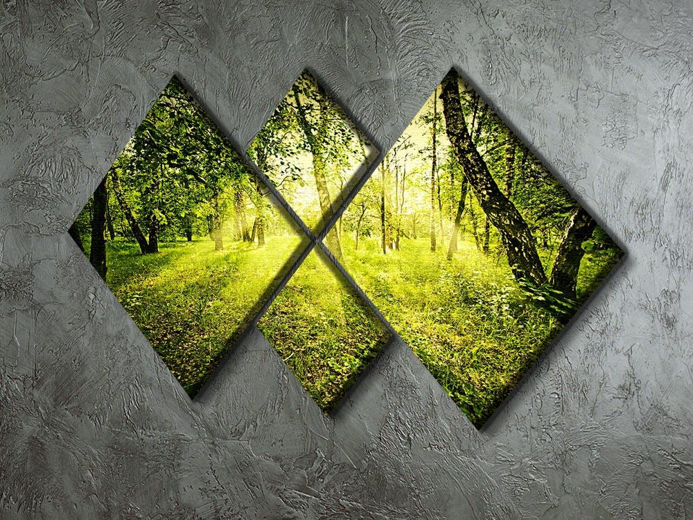 deep forest on summer morning 4 Square Multi Panel Canvas  - Canvas Art Rocks - 2