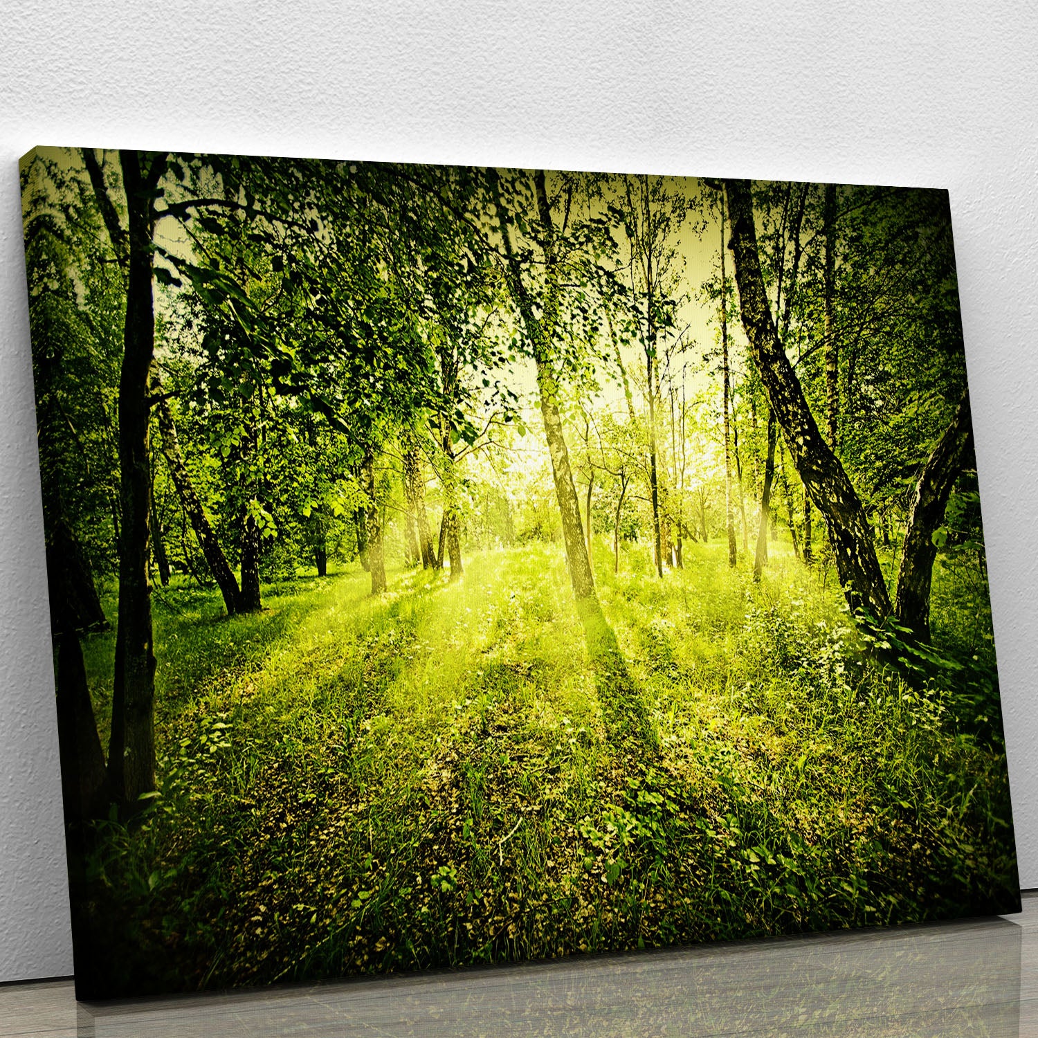 deep forest on summer morning Canvas Print or Poster - Canvas Art Rocks - 1