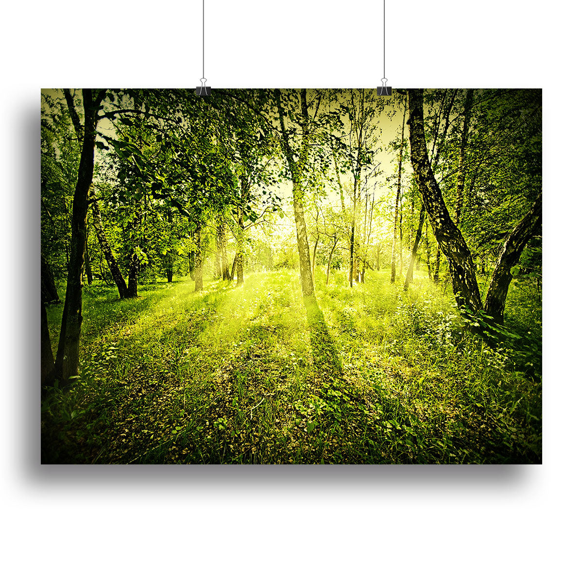 deep forest on summer morning Canvas Print or Poster - Canvas Art Rocks - 2