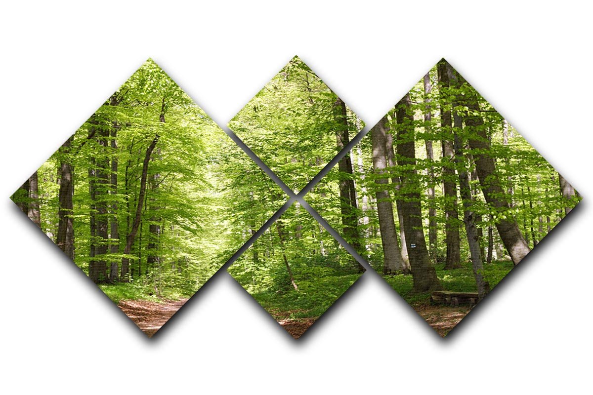 forest during spring 4 Square Multi Panel Canvas  - Canvas Art Rocks - 1
