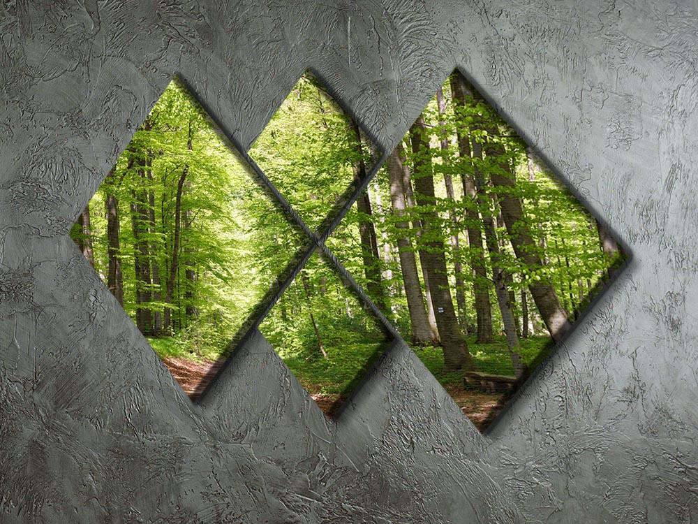 forest during spring 4 Square Multi Panel Canvas  - Canvas Art Rocks - 2