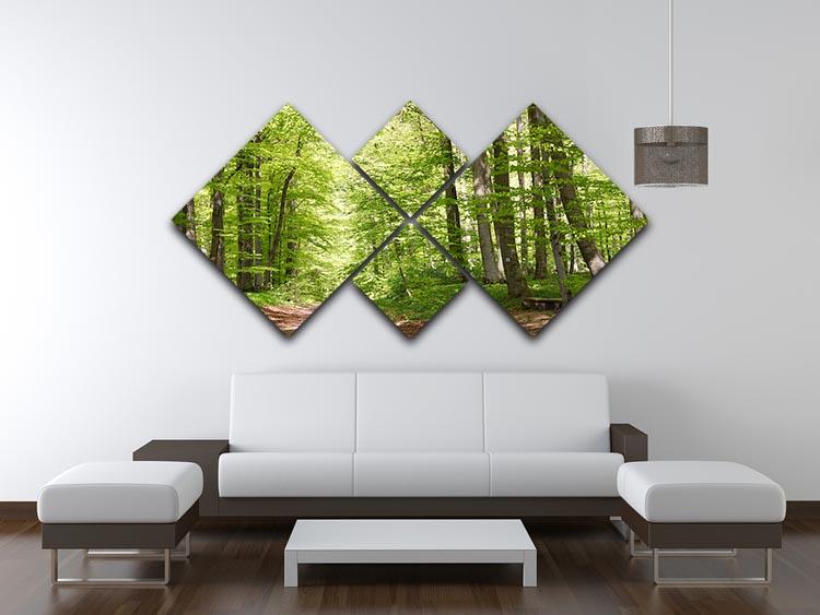forest during spring 4 Square Multi Panel Canvas  - Canvas Art Rocks - 3