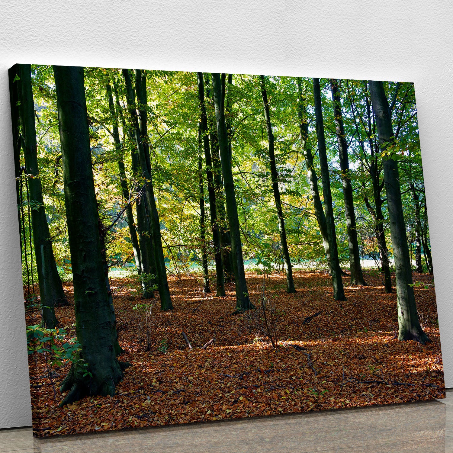 forrest edge in autumn Canvas Print or Poster - Canvas Art Rocks - 1