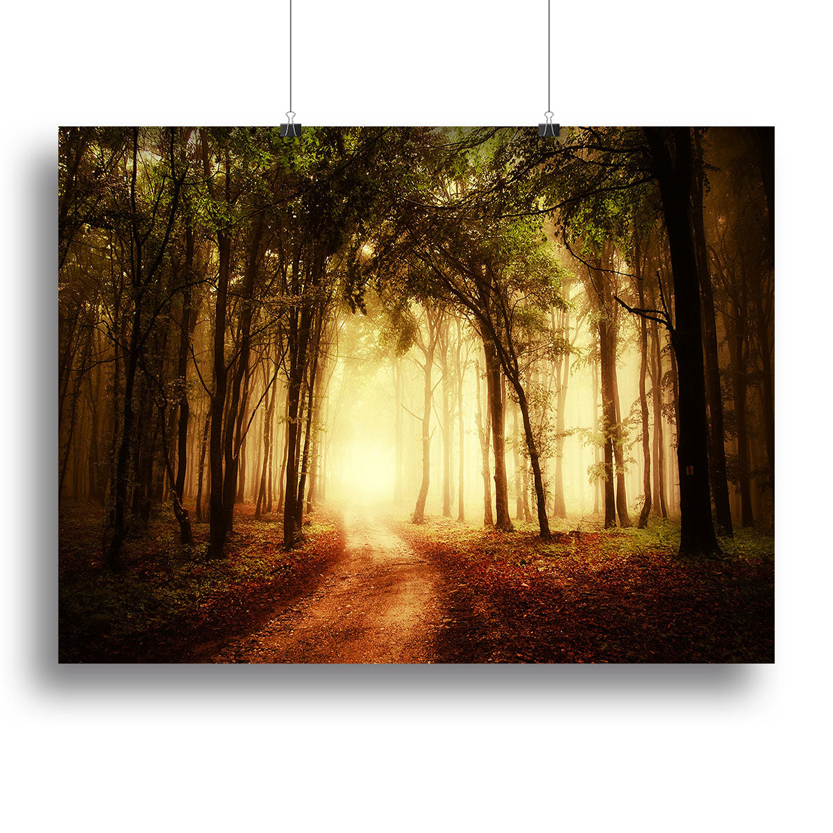 golden forest at autumn Canvas Print or Poster - Canvas Art Rocks - 2