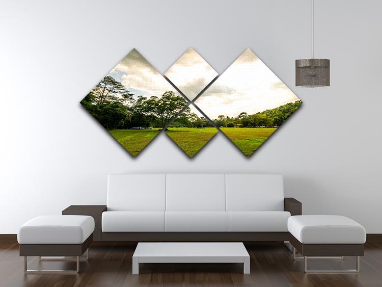grass and bigtree in the forrest 4 Square Multi Panel Canvas  - Canvas Art Rocks - 3