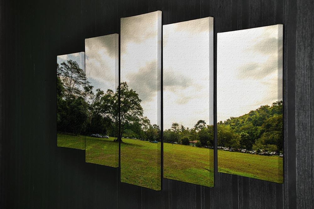 grass and bigtree in the forrest 5 Split Panel Canvas  - Canvas Art Rocks - 2