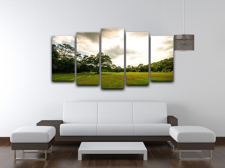 grass and bigtree in the forrest 5 Split Panel Canvas  - Canvas Art Rocks - 3