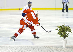ice hockey player in red Wall Mural Wallpaper - Canvas Art Rocks - 4