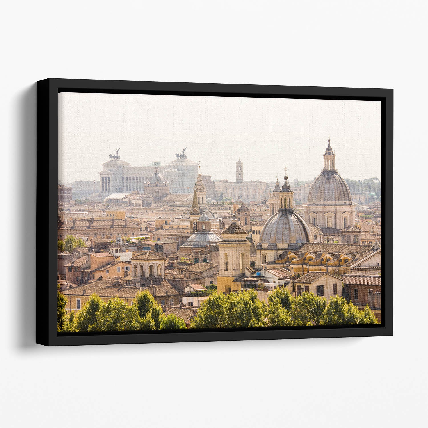 monument and several domes Floating Framed Canvas