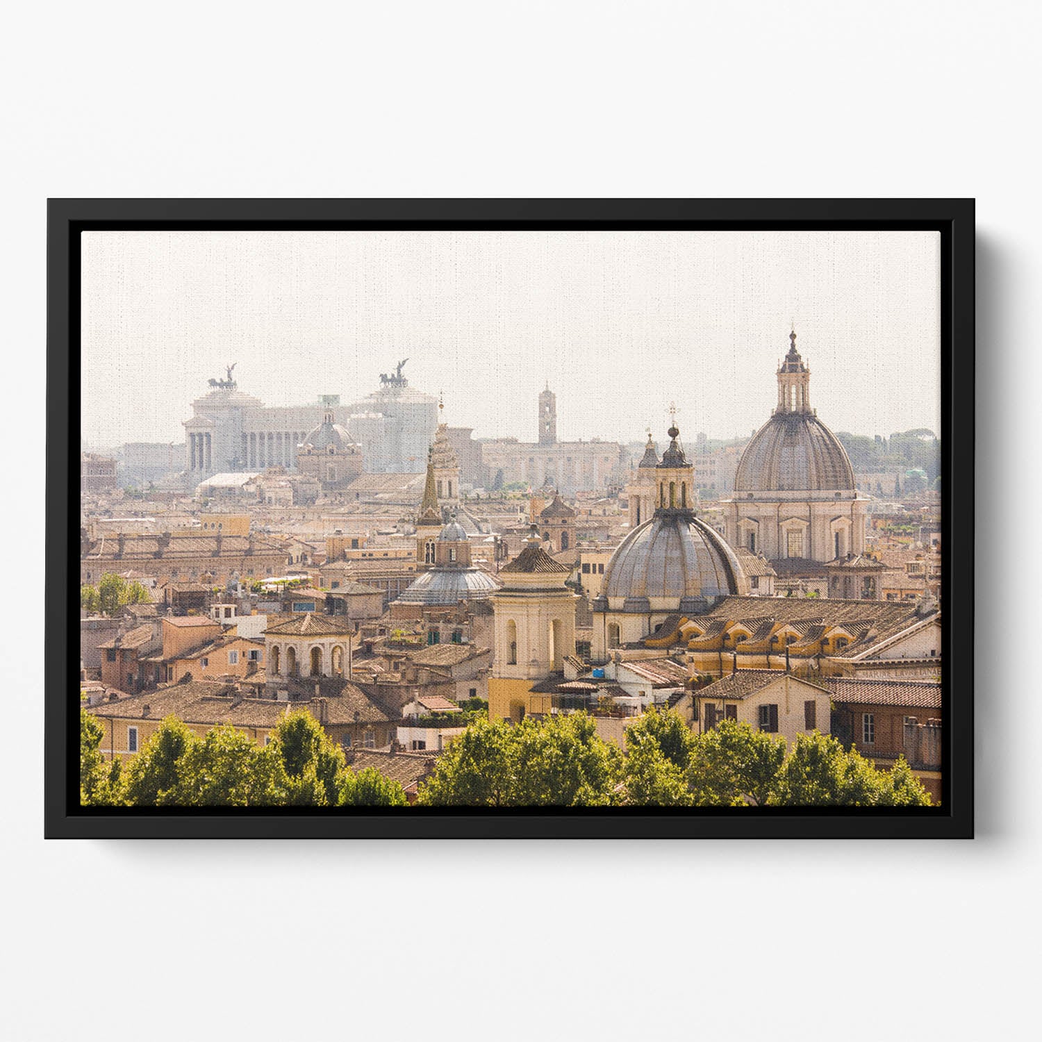 monument and several domes Floating Framed Canvas