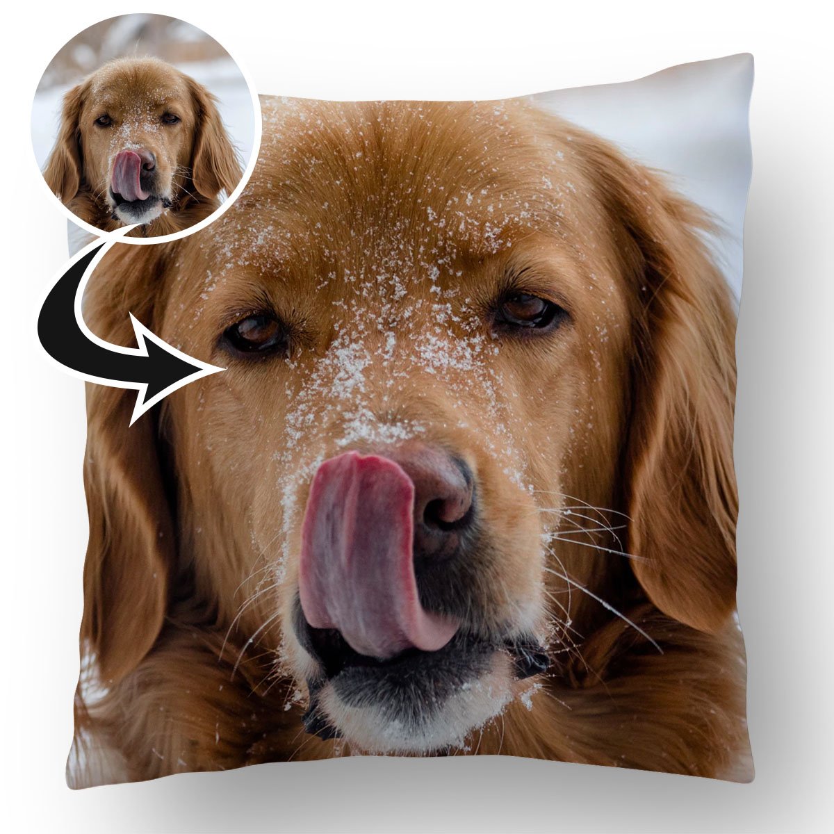 Photo Upload Dog Cushion b