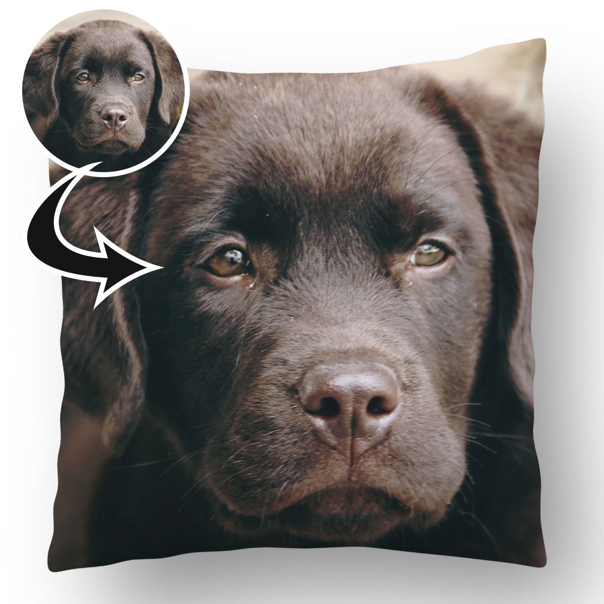 Photo Upload Dog Cushion a