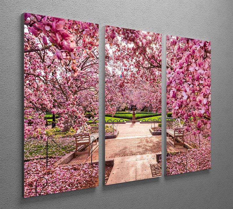 spring foliage near the National Mall 3 Split Panel Canvas Print - Canvas Art Rocks - 2