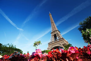 sunny morning flowers and Eiffel Tower Wall Mural Wallpaper - Canvas Art Rocks - 1