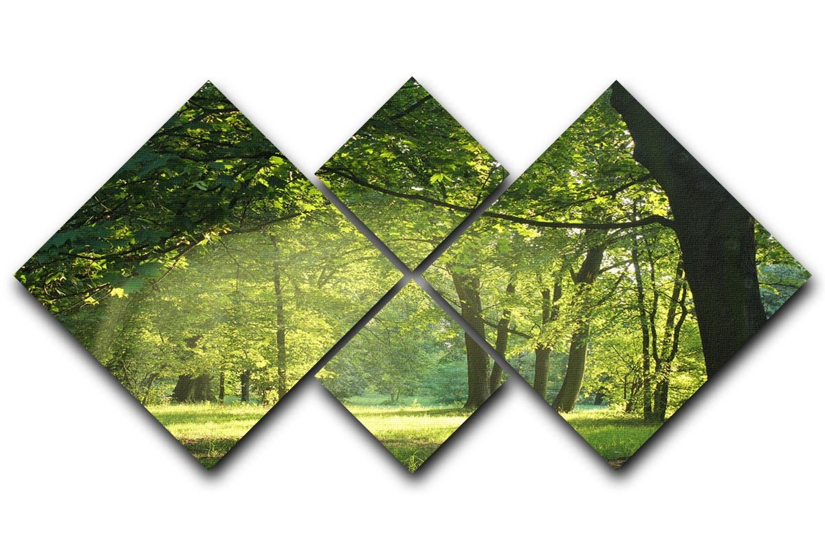trees in a summer forest 4 Square Multi Panel Canvas  - Canvas Art Rocks - 1