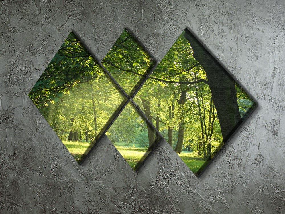trees in a summer forest 4 Square Multi Panel Canvas  - Canvas Art Rocks - 2