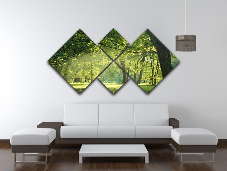trees in a summer forest 4 Square Multi Panel Canvas  - Canvas Art Rocks - 3