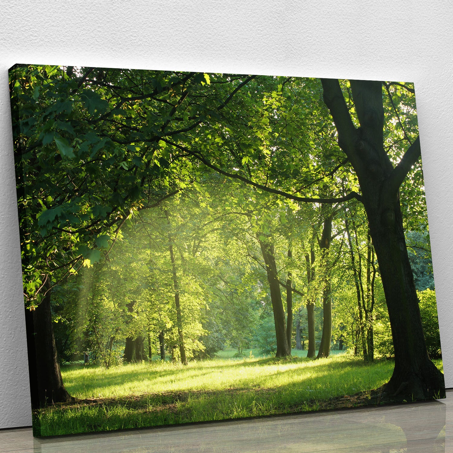trees in a summer forest Canvas Print or Poster - Canvas Art Rocks - 1