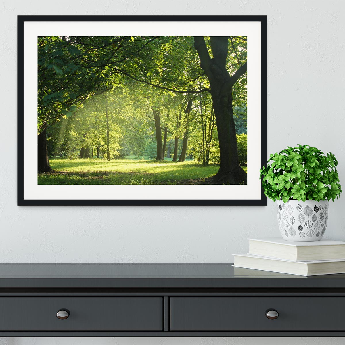 trees in a summer forest Framed Print - Canvas Art Rocks - 1