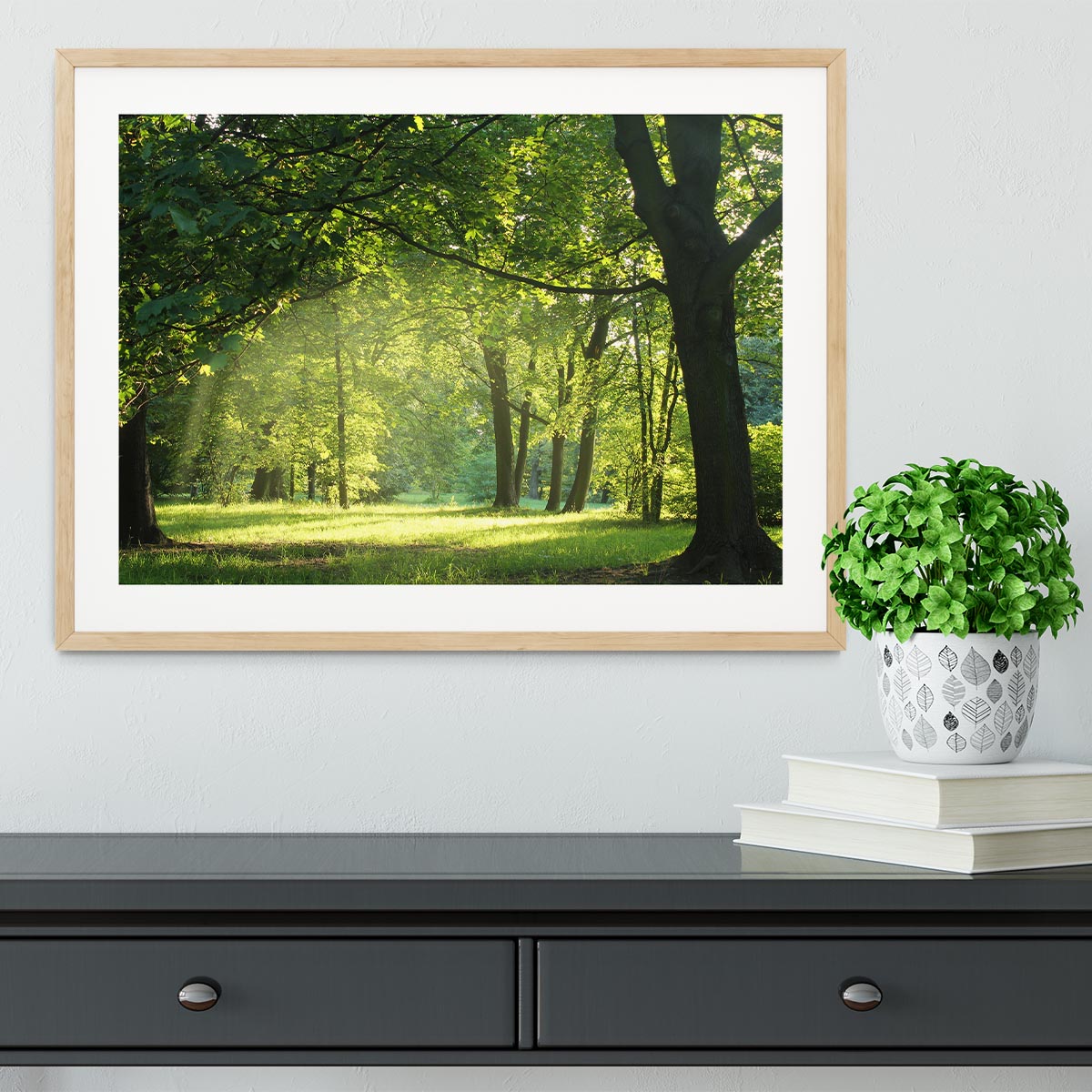 trees in a summer forest Framed Print - Canvas Art Rocks - 3