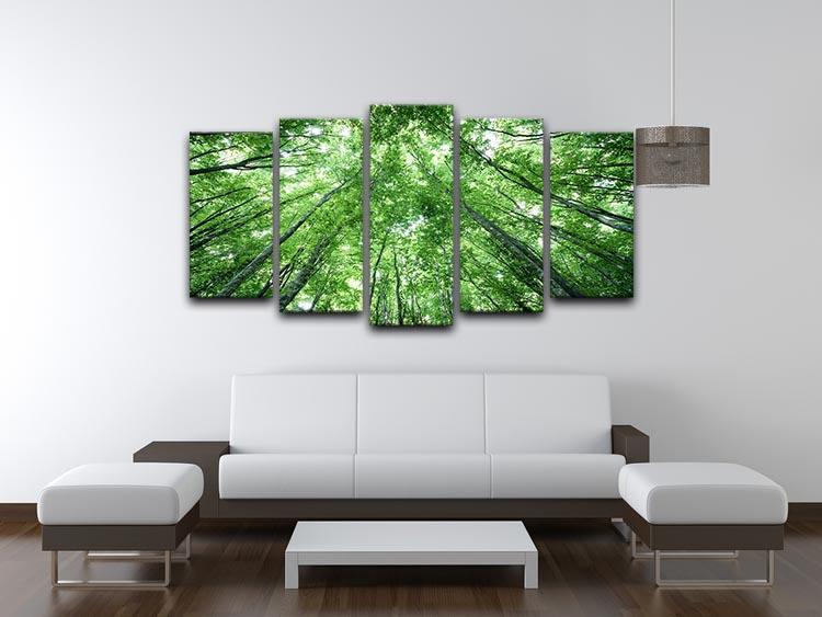 trees meeting eachother at the sky 5 Split Panel Canvas  - Canvas Art Rocks - 3