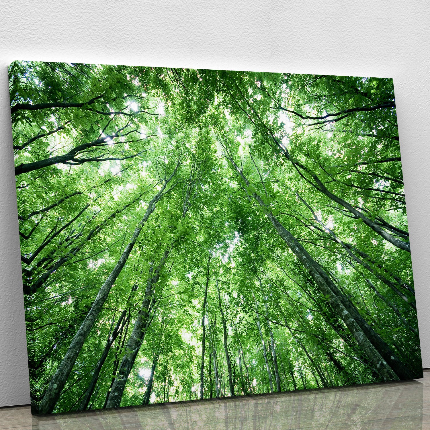 trees meeting eachother at the sky Canvas Print or Poster - Canvas Art Rocks - 1