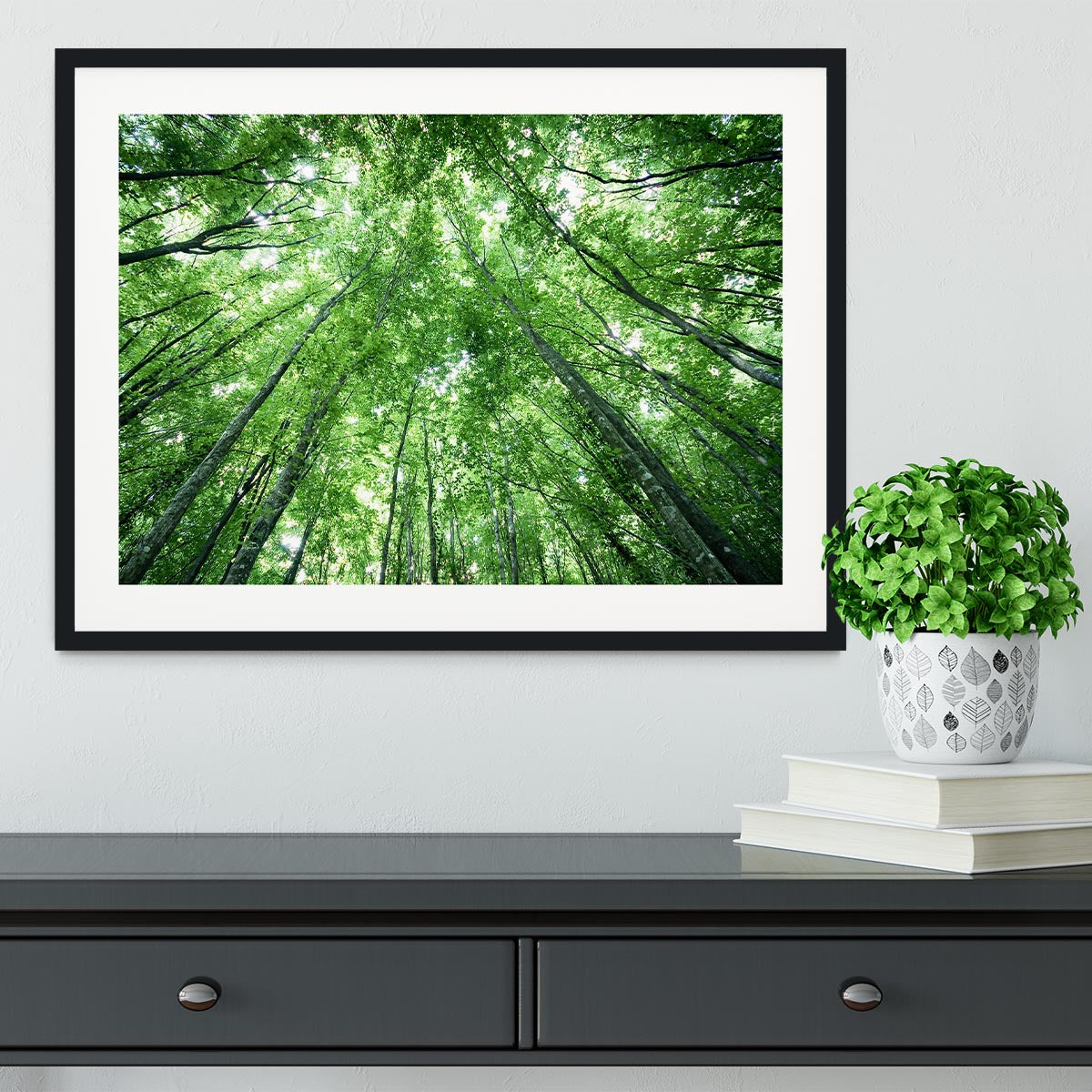 trees meeting eachother at the sky Framed Print - Canvas Art Rocks - 1