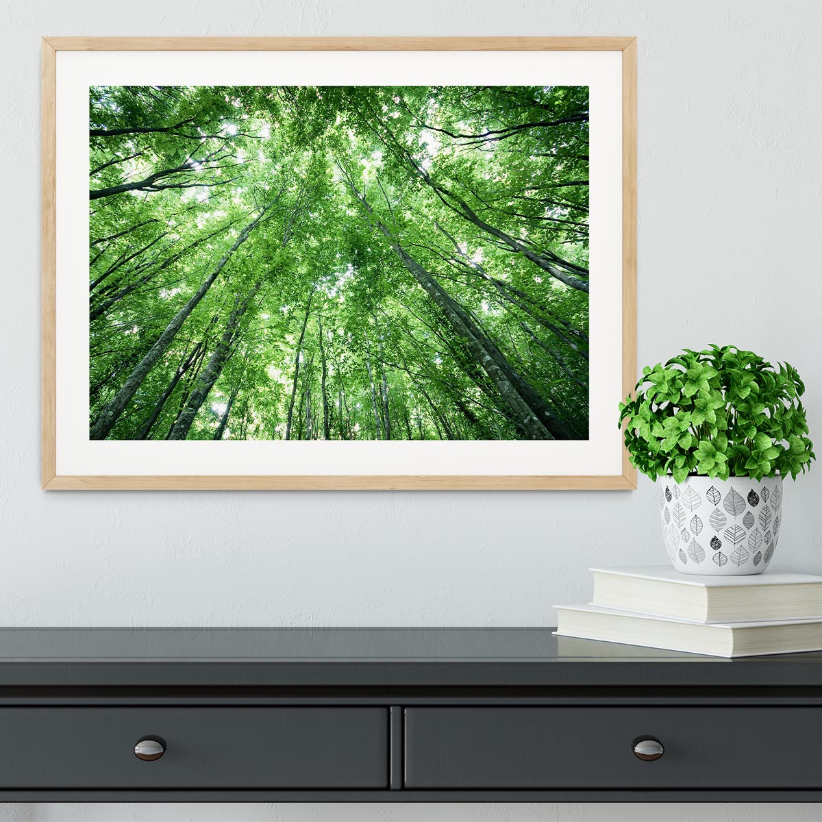 trees meeting eachother at the sky Framed Print - Canvas Art Rocks - 3