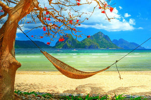 tropical beach scene with hammock Wall Mural Wallpaper - Canvas Art Rocks - 1