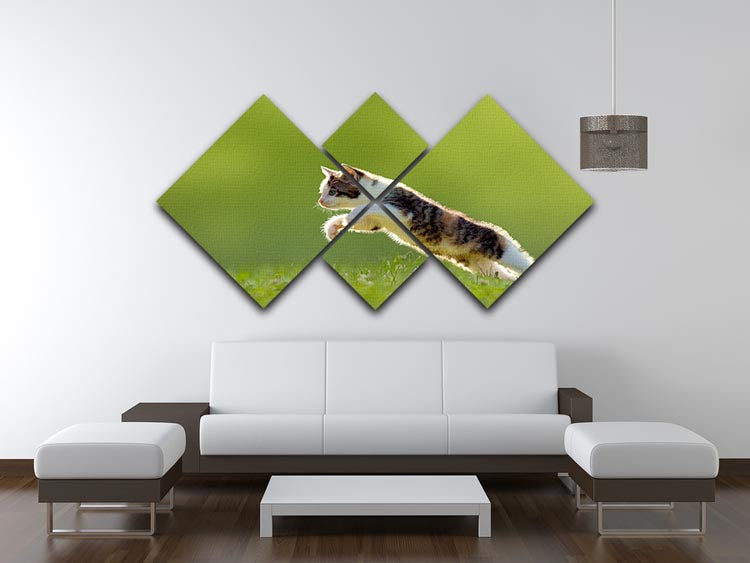 young cat jumps over a meadow in the backlit 4 Square Multi Panel Canvas - Canvas Art Rocks - 3