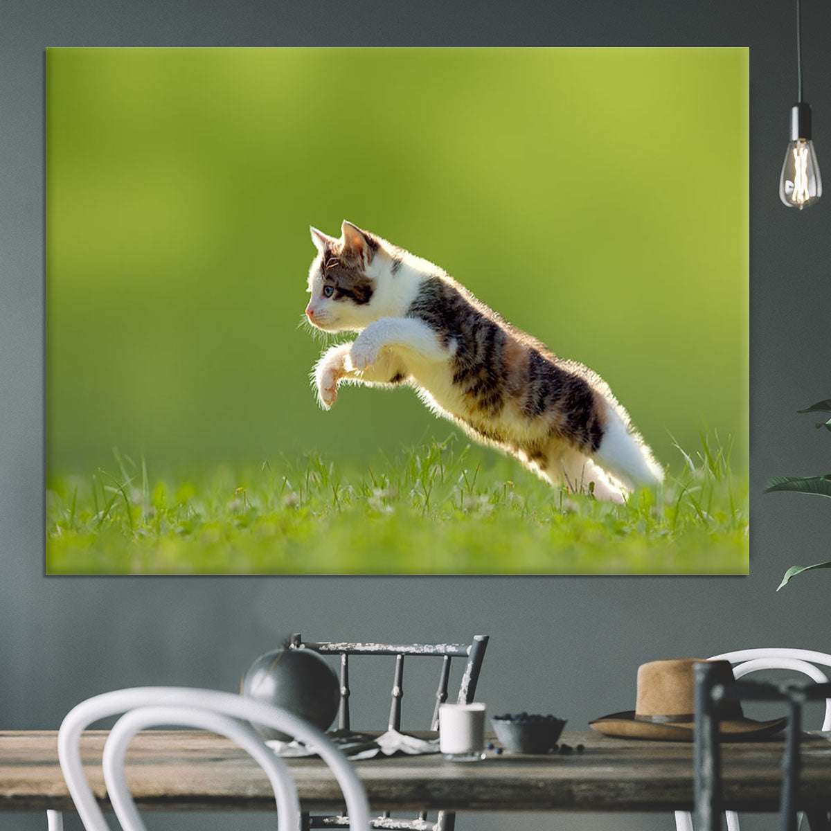 young cat jumps over a meadow in the backlit Canvas Print or Poster - Canvas Art Rocks - 3