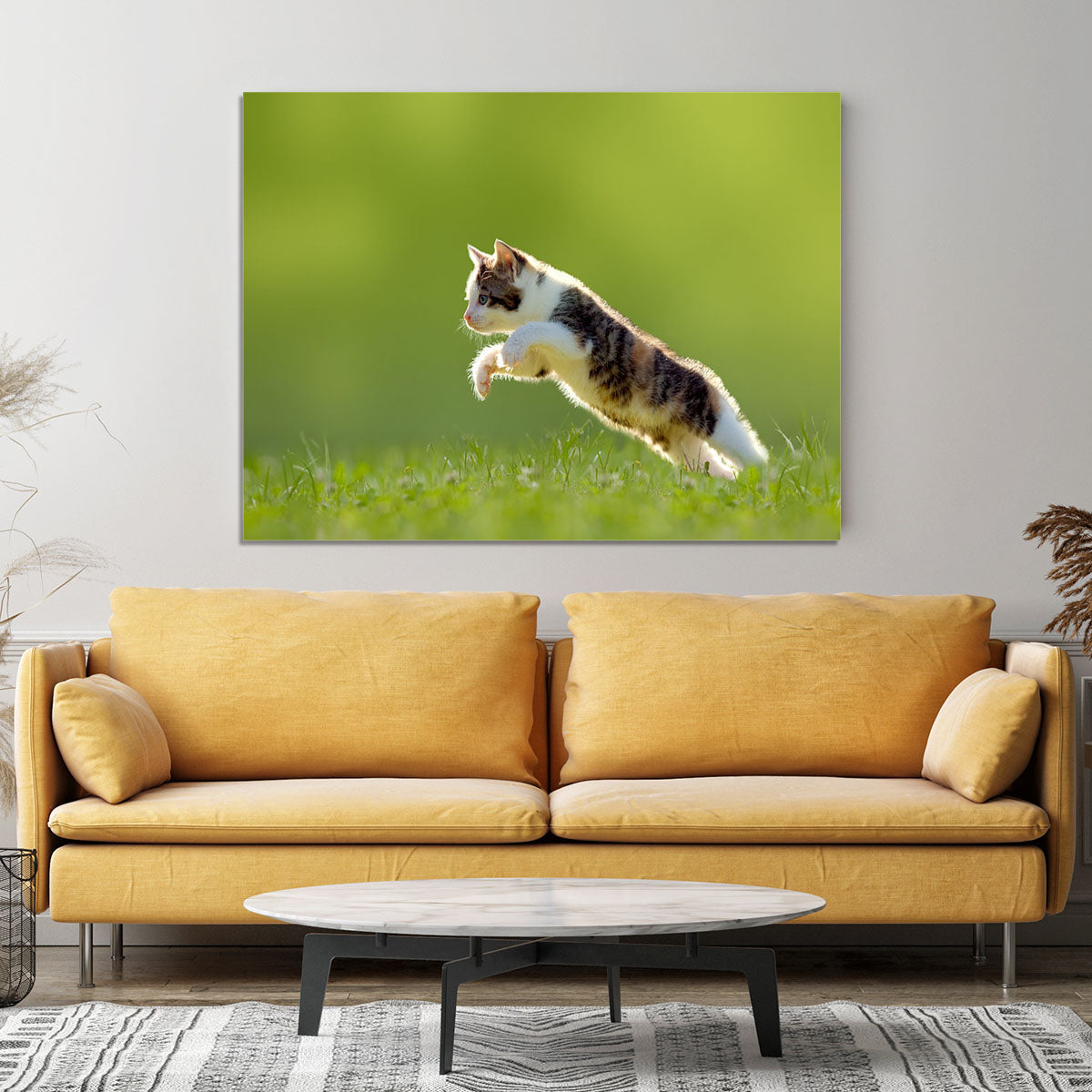 young cat jumps over a meadow in the backlit Canvas Print or Poster - Canvas Art Rocks - 4