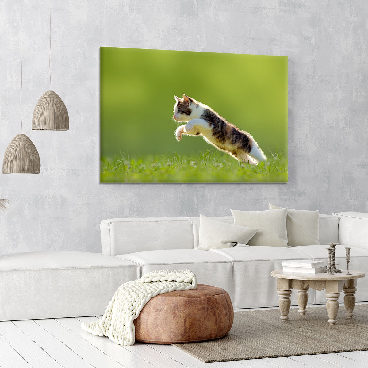 young cat jumps over a meadow in the backlit Canvas Print or Poster - Canvas Art Rocks - 6