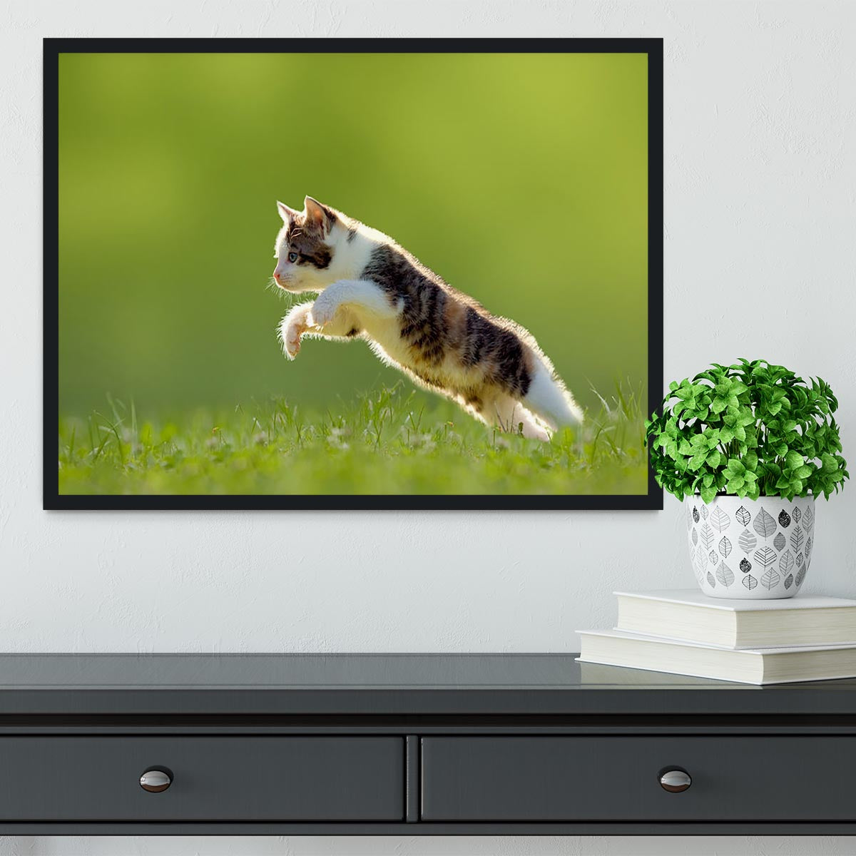 young cat jumps over a meadow in the backlit Framed Print - Canvas Art Rocks - 2