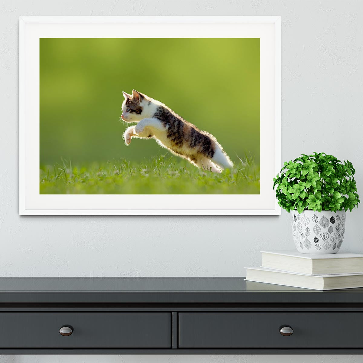 young cat jumps over a meadow in the backlit Framed Print - Canvas Art Rocks - 5